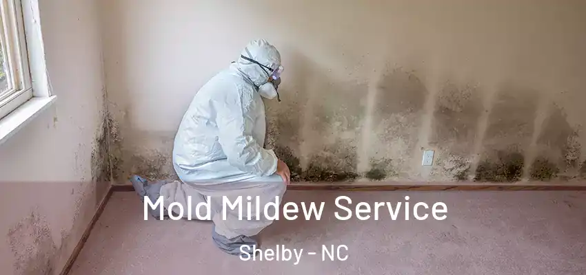  Mold Mildew Service Shelby - NC