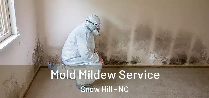 Mold Mildew Service Snow Hill - NC