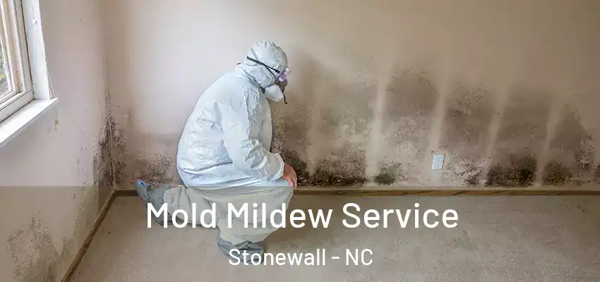  Mold Mildew Service Stonewall - NC