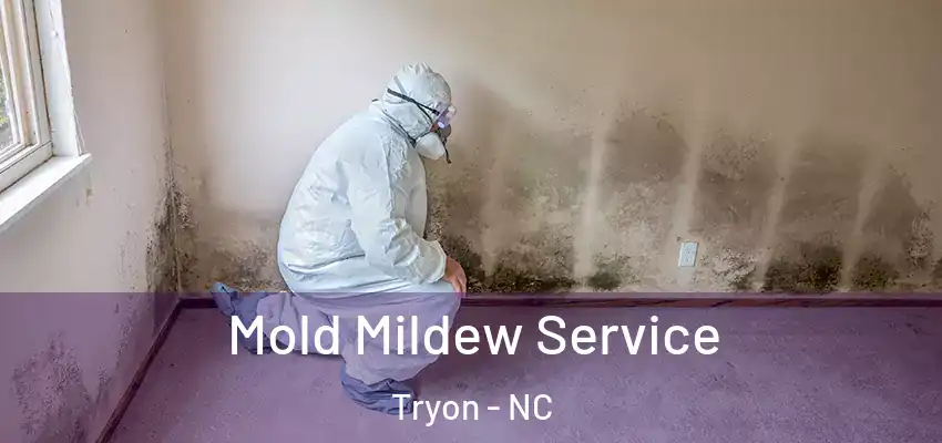 Mold Mildew Service Tryon - NC
