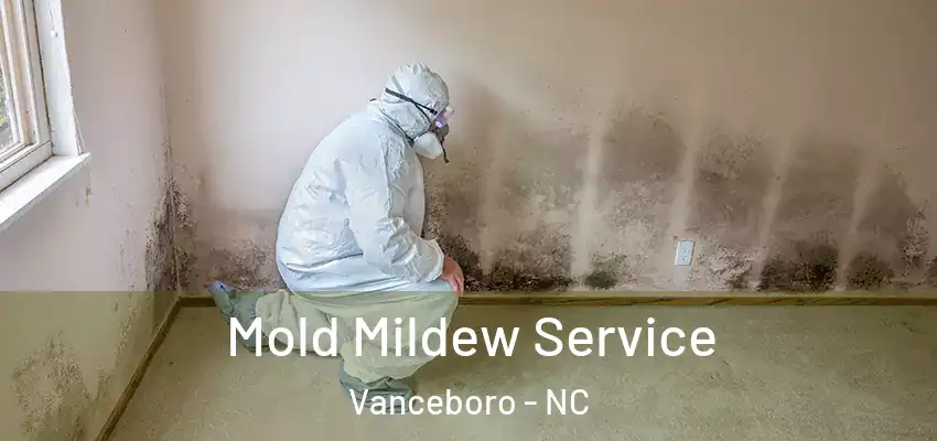 Mold Mildew Service Vanceboro - NC