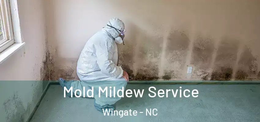  Mold Mildew Service Wingate - NC