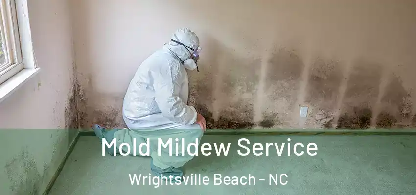  Mold Mildew Service Wrightsville Beach - NC