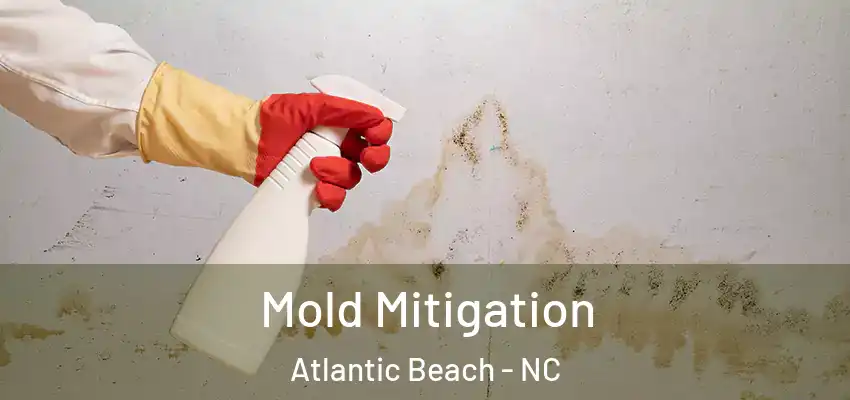 Mold Mitigation Atlantic Beach - NC