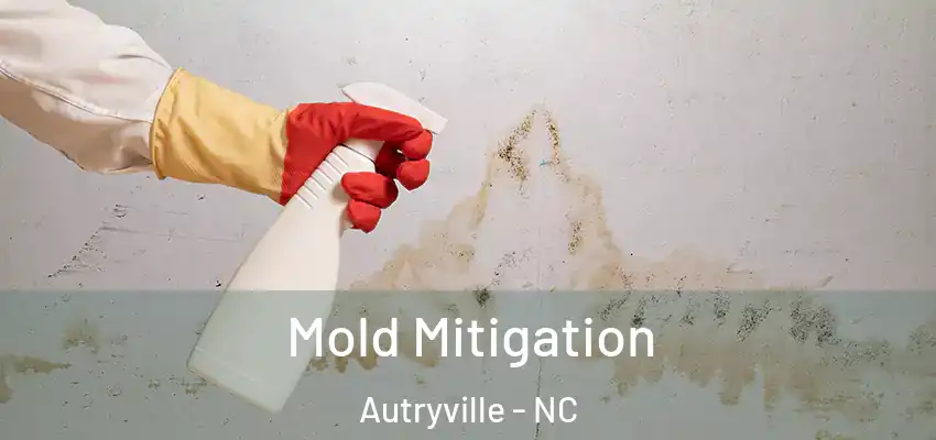  Mold Mitigation Autryville - NC
