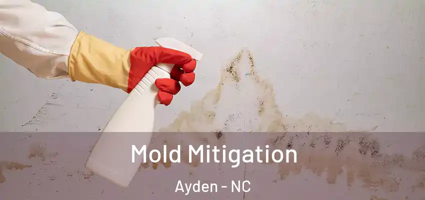  Mold Mitigation Ayden - NC