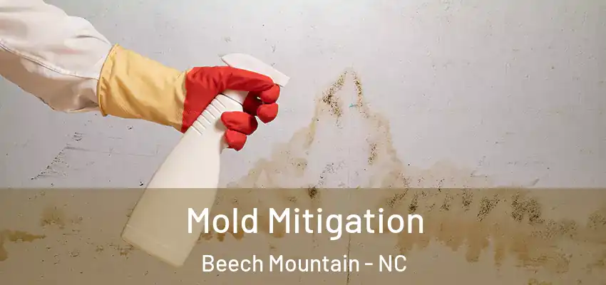  Mold Mitigation Beech Mountain - NC