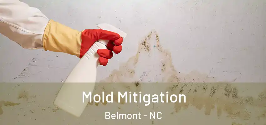  Mold Mitigation Belmont - NC