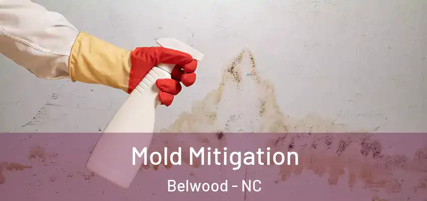  Mold Mitigation Belwood - NC