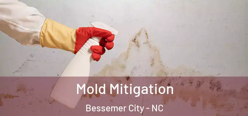  Mold Mitigation Bessemer City - NC