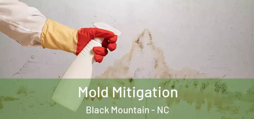  Mold Mitigation Black Mountain - NC