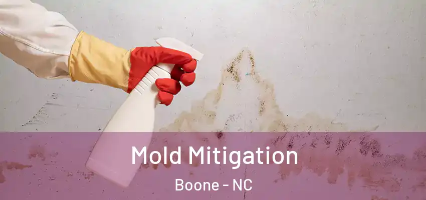 Mold Mitigation Boone - NC