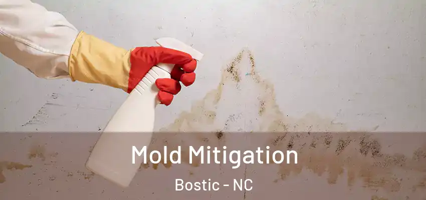  Mold Mitigation Bostic - NC