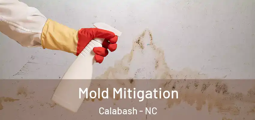  Mold Mitigation Calabash - NC