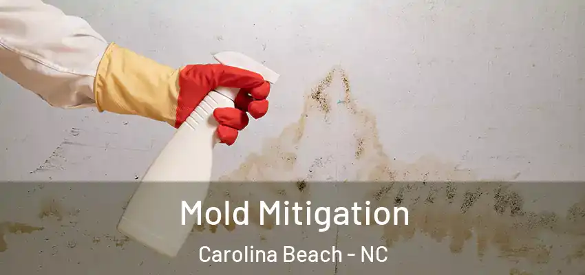  Mold Mitigation Carolina Beach - NC