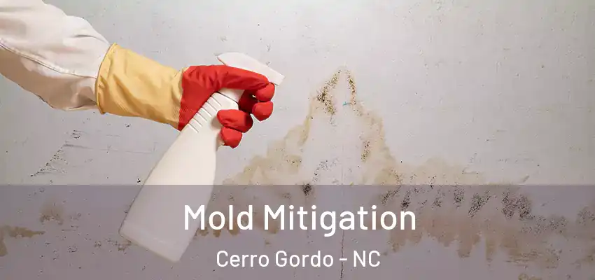 Mold Mitigation Cerro Gordo - NC
