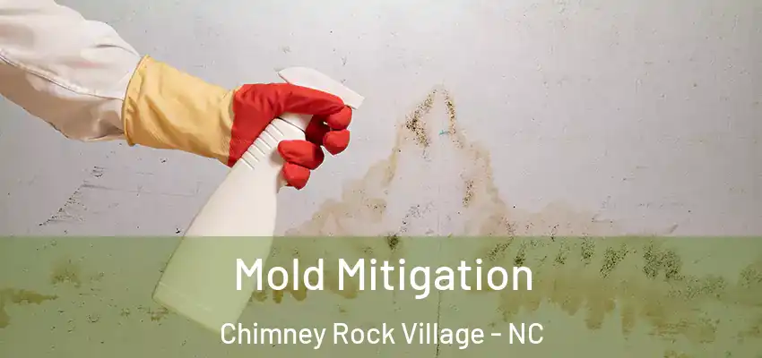  Mold Mitigation Chimney Rock Village - NC