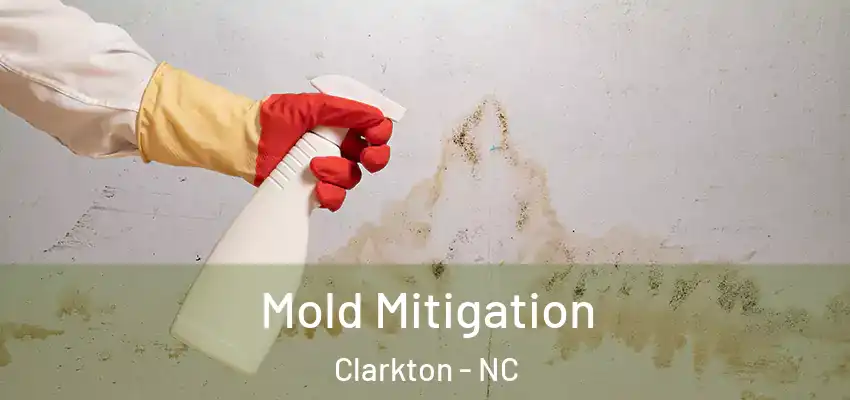  Mold Mitigation Clarkton - NC