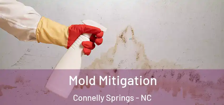  Mold Mitigation Connelly Springs - NC