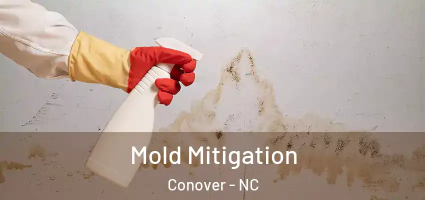  Mold Mitigation Conover - NC