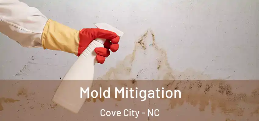 Mold Mitigation Cove City - NC