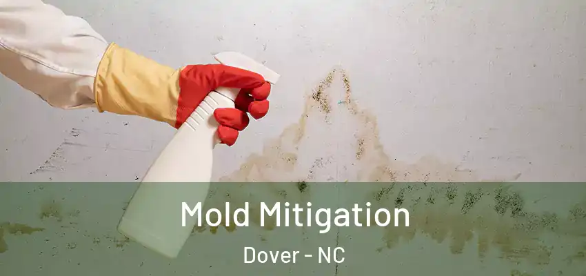 Mold Mitigation Dover - NC