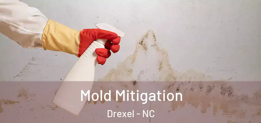  Mold Mitigation Drexel - NC