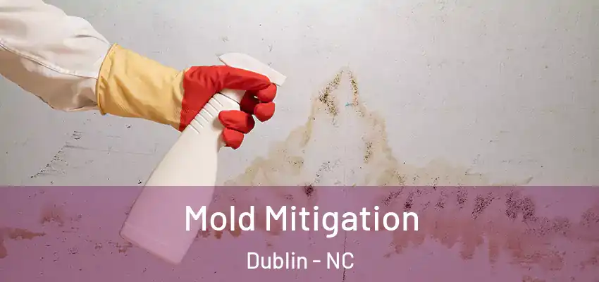 Mold Mitigation Dublin - NC