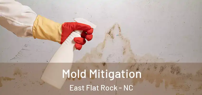Mold Mitigation East Flat Rock - NC