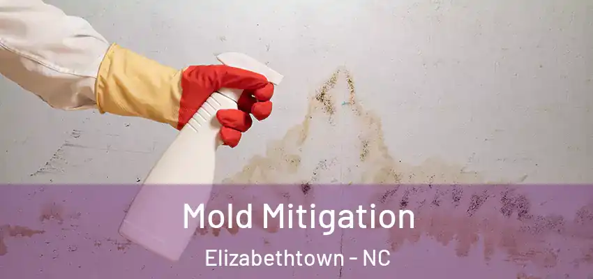Mold Mitigation Elizabethtown - NC