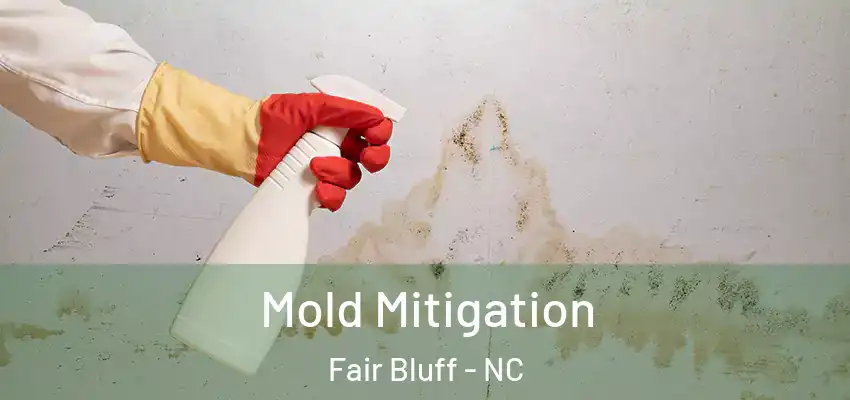  Mold Mitigation Fair Bluff - NC