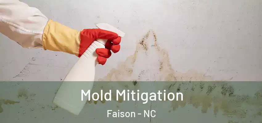 Mold Mitigation Faison - NC