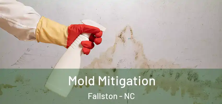  Mold Mitigation Fallston - NC