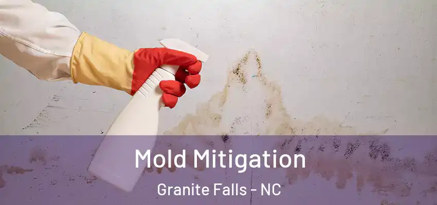  Mold Mitigation Granite Falls - NC