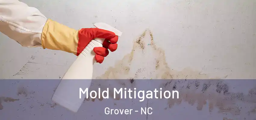  Mold Mitigation Grover - NC