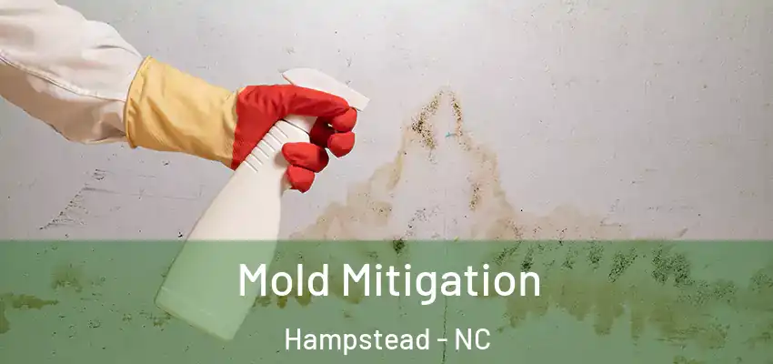  Mold Mitigation Hampstead - NC