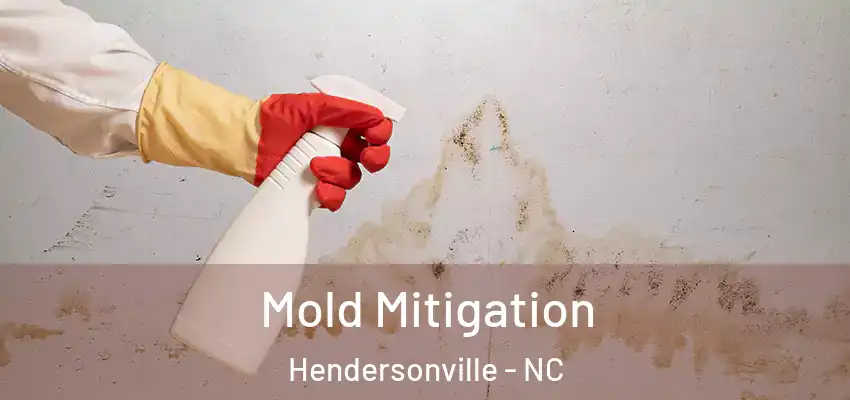 Mold Mitigation Hendersonville - NC