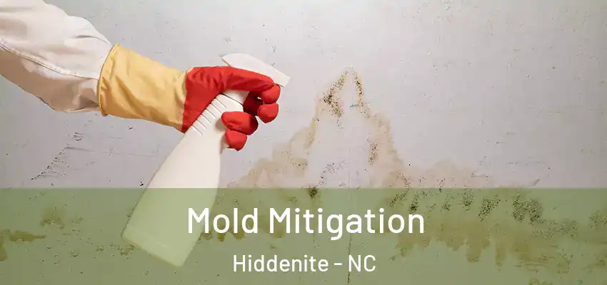 Mold Mitigation Hiddenite - NC