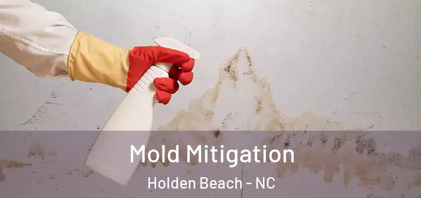 Mold Mitigation Holden Beach - NC