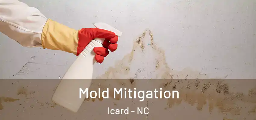  Mold Mitigation Icard - NC