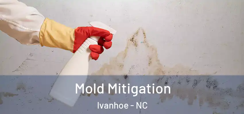  Mold Mitigation Ivanhoe - NC