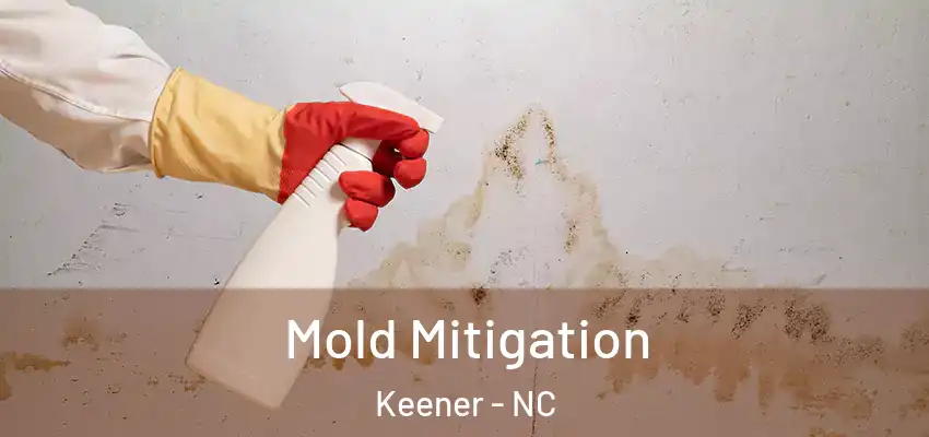 Mold Mitigation Keener - NC