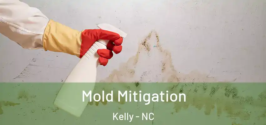 Mold Mitigation Kelly - NC