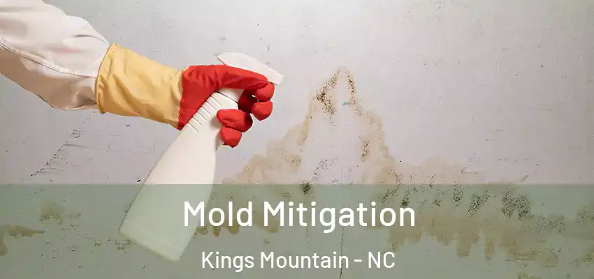  Mold Mitigation Kings Mountain - NC
