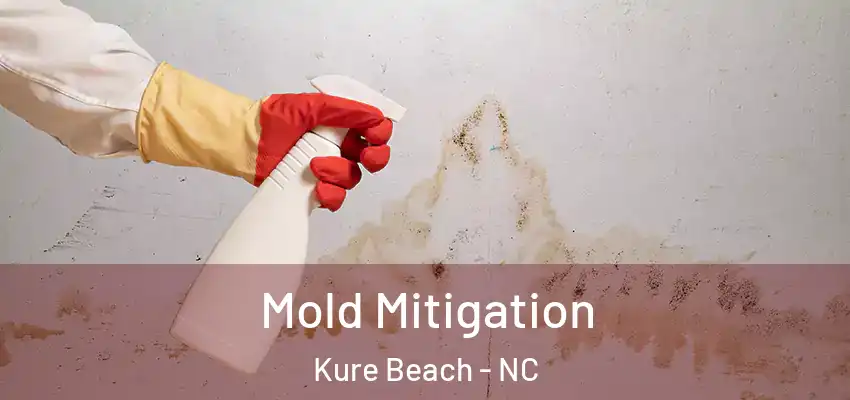  Mold Mitigation Kure Beach - NC