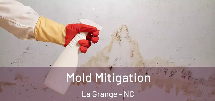 Mold Mitigation La Grange - NC