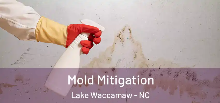  Mold Mitigation Lake Waccamaw - NC