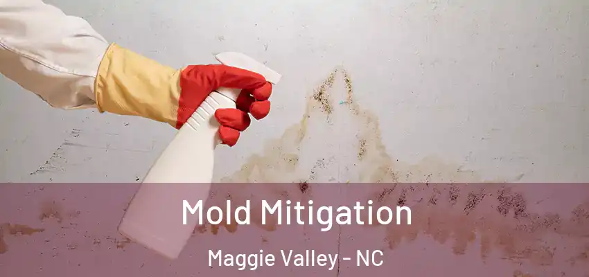 Mold Mitigation Maggie Valley - NC
