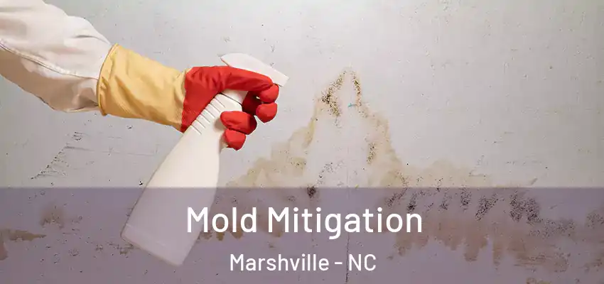  Mold Mitigation Marshville - NC