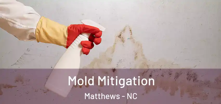  Mold Mitigation Matthews - NC